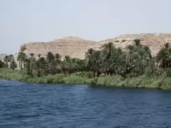 Берег Нила
