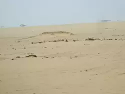 Мираж в Нубийской пустыне