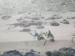 Прогулка на верблюдах вдоль берега Нила