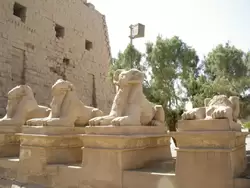 Луксор, овны в храме бога Амона