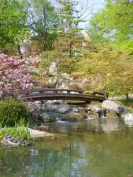 Японский сад в 19 районе в Вене