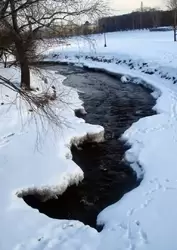 Лососинка зимой в Петрозаводске