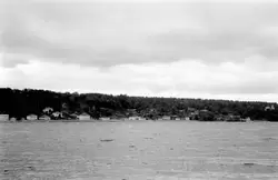 Плёс, вид с лодки перевоза в 1957 году