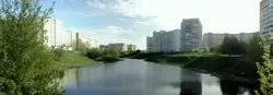 Панорама пруда на улице Новосёлов в Дашково-Песочне