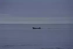 Белое море, фото