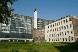 Университет Амстердама