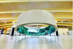 Инсталляция «Вольный юг» в аэропорту Ростов-на-Дону «Платов»