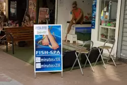 Fish spa