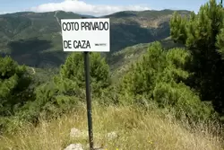 Автобус сломался в испанских горах где-то между Марбельей и Рондой