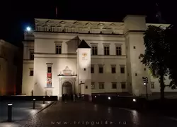 Дворец Великих князей литовских (Нижний замок)