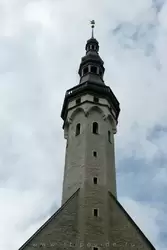 Башня ратуши в Таллине