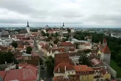 Вид на Таллин с церкви Олевисте