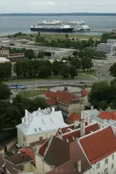 Вид на круизные теплоходы в порту Таллина