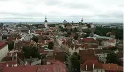 Вид на старый город Таллина со смотровой площадки на церкви Олевисте