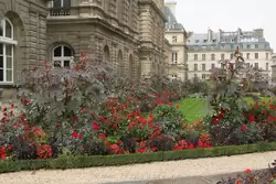 Люксембургский сад в Париже, фото 35