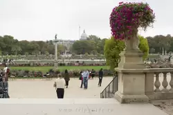 Люксембургский сад в Париже, фото 58