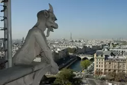 Вид на Париж с собора Нотр-Дам