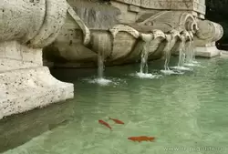 Золотые рыбки в фонтане перед дворцом правосудия