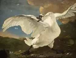 «Испуганный лебедь» Ян Асселин — согласно легенде лебедь — это образ правителя Йохана де Витта, который защищал Нидерланды от Англии