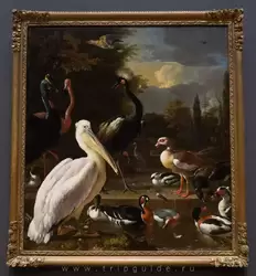 «Пеликан и другие птицы около бассейна» Мельхиор де Хондекутер — картина была написана для Хет Лоо — дворца Вильяма и Мэри