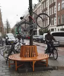 Велосипеды в Амстердаме, фото 22