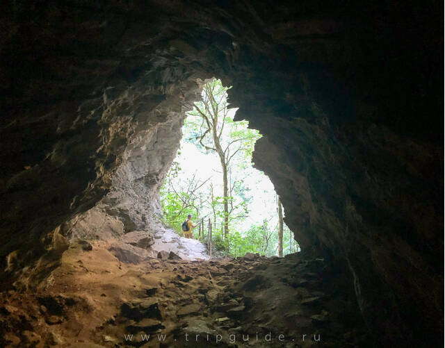 Пещера в Тисо-самшитовой роще