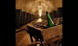 Абрау-Дюрсо — экскурсия на завод шампанских вин, фото 5