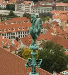 Собор Святого Вита и виды на Прагу со смотровой площадки, фото 36