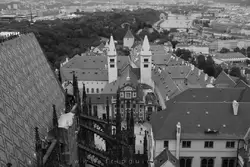 Собор Святого Вита и виды на Прагу со смотровой площадки, фото 37