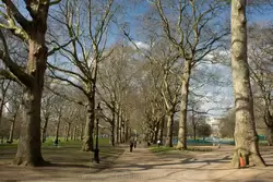 Грин Парк в Лондоне