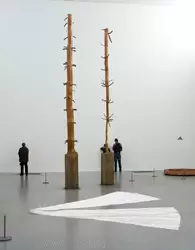 «Дерево в 12 метров» Джузеппе Пеноне — художник брал распиленные бруски и выдалбливал куски, следуя рисунку древесины, подчеркивая, что чувствительный подход еще возможен в промышленном мире