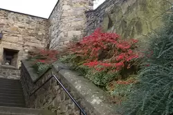 Длинная лестница / Lang Stairs