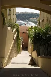 Монако, фото 22