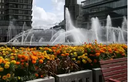 Цветы и фонтаны на площади Сергельсторг