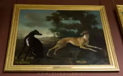 Полотна с изображением собак Людовика XV, Жан Батист Удри — дворец Фонтенбло