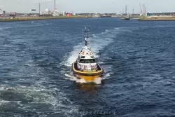 Лоцманское судно забирает лоцмана при выходе Конингсдама в Северное море