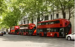 Двухэтажные автобусы, фото 3