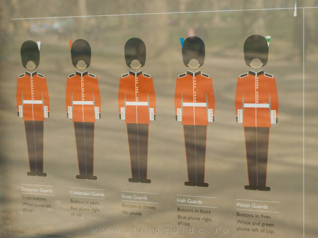 Отличия гвардейцев из разных регионов Великобритании