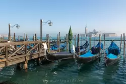 Венеция, фото 71