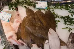 Рынок на улице Монж - рыба sole