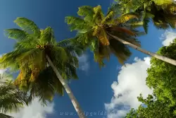 Мартиника, фото 21