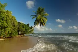 Мартиника, фото 35
