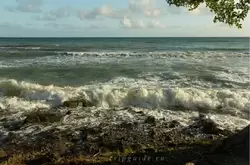 Мартиника, фото 38