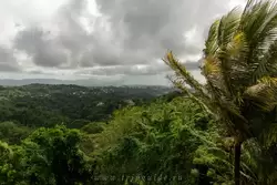 Мартиника, фото 46