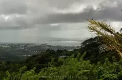 Мартиника, фото 47