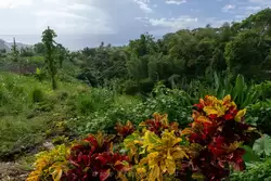 Мартиника, фото 15