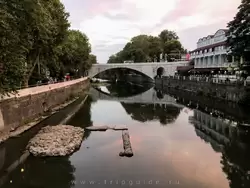 Ривьерский мост в Сочи