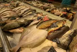 Рыбный отдел на Центральном рынке Сочи