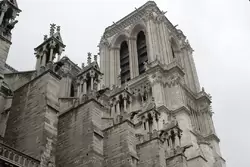 Собор Парижской Богоматери, фото 28