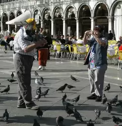 Туристы кормят голубей